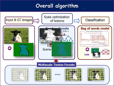 Scale-Optimized Textons for Image Categorization and Segmentation