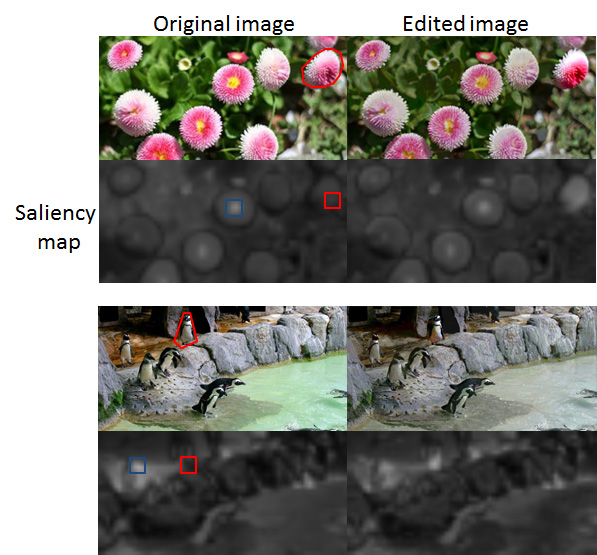 Saliency-Based Image Editing for Guiding Visual Attention